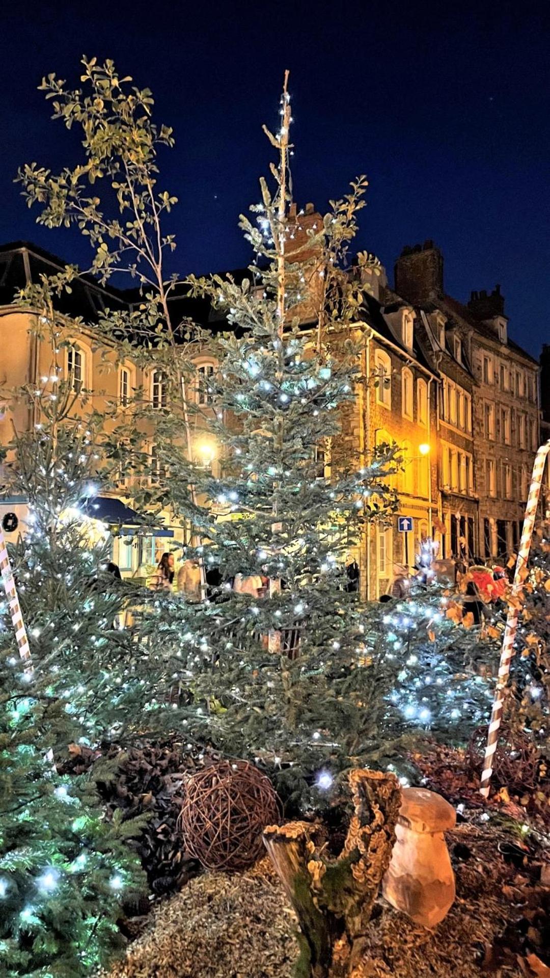 Cocon Lumineux Proche De La Ville Fortifiee Et De Nausicaa Булон сюр Мер Екстериор снимка